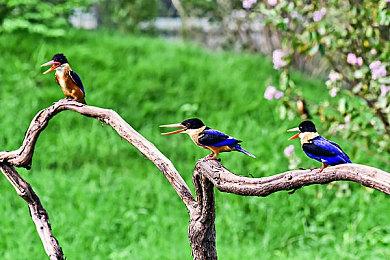 TGA：《黑神话：悟空》发售日预告 8月20日发售